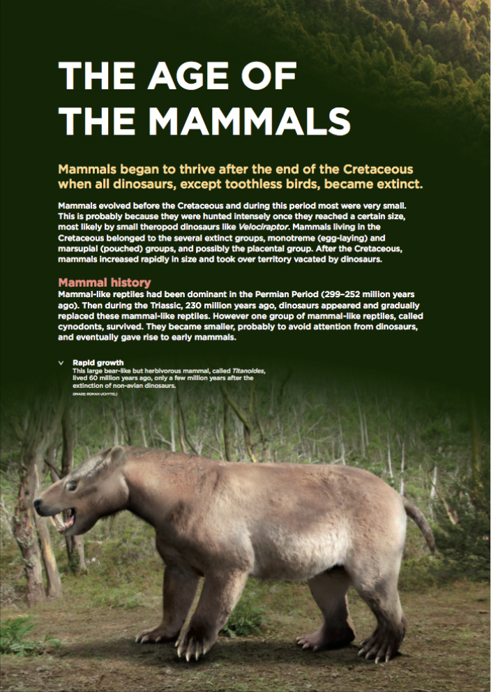 The Age of the Mammals | Western Australian Museum